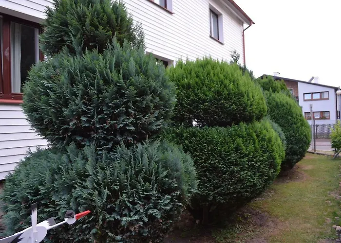 Bursztynowa Komnata Homestay szállás Ustka